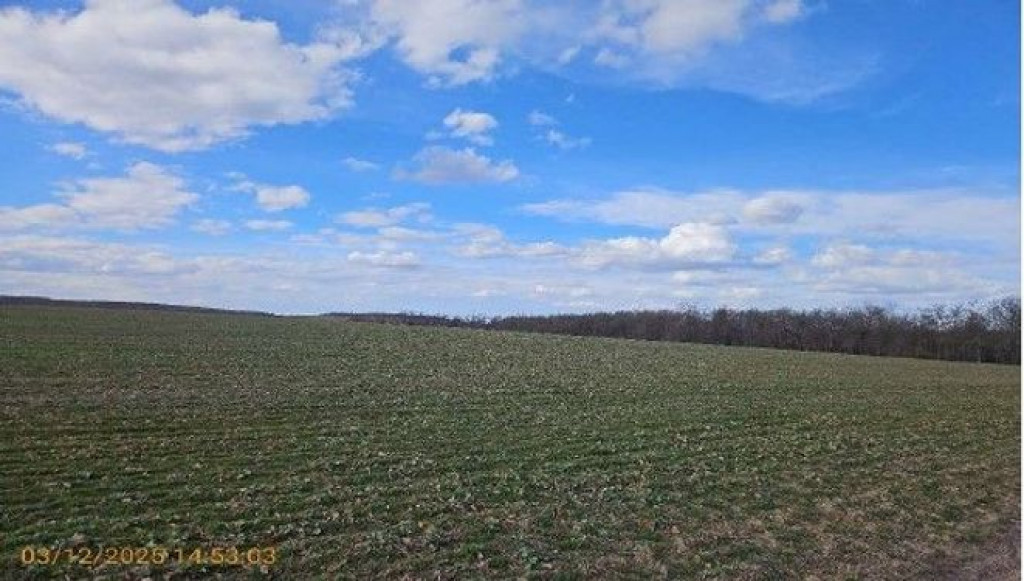 Teren Extravilan Varfu Campului, ID: R2575538