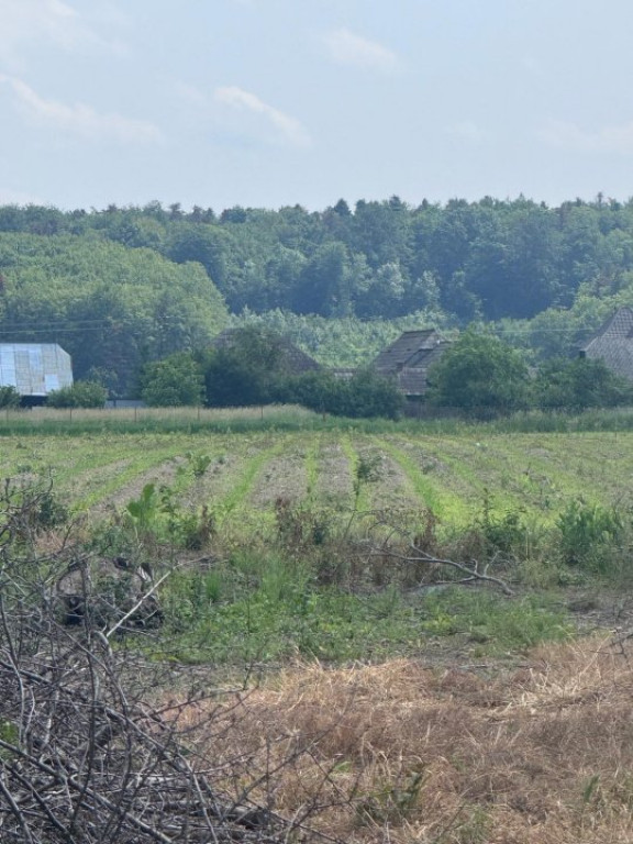 Teren generos, intravilan, 13.518 mp, Marginea