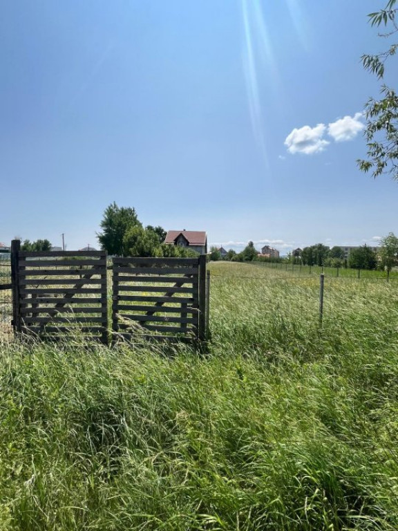 Teren intravilan ,2000 mp,Radauti