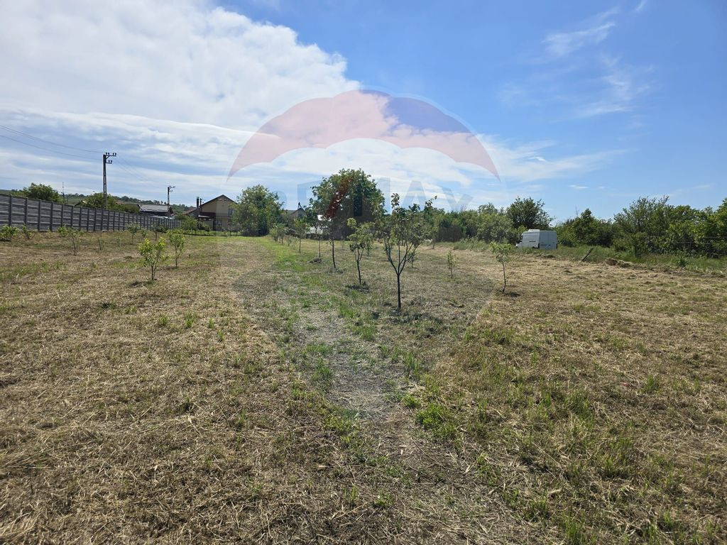 Teren 2,500mp Simnicu de Sus / Strada Craiovei