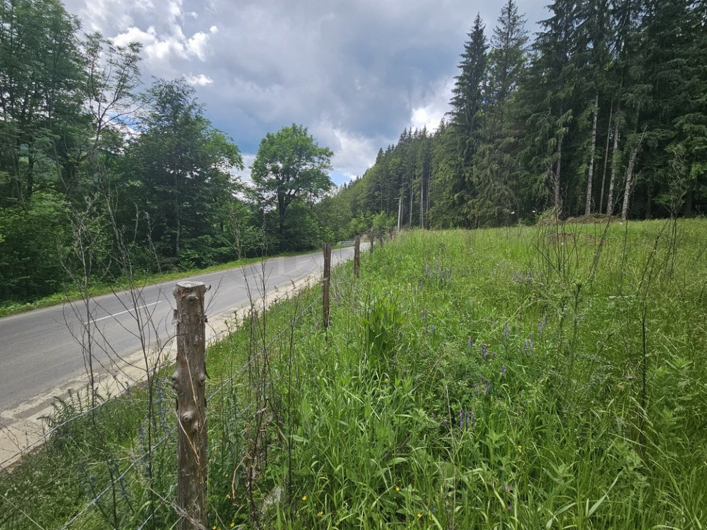 Teren de in Valea Doftanei