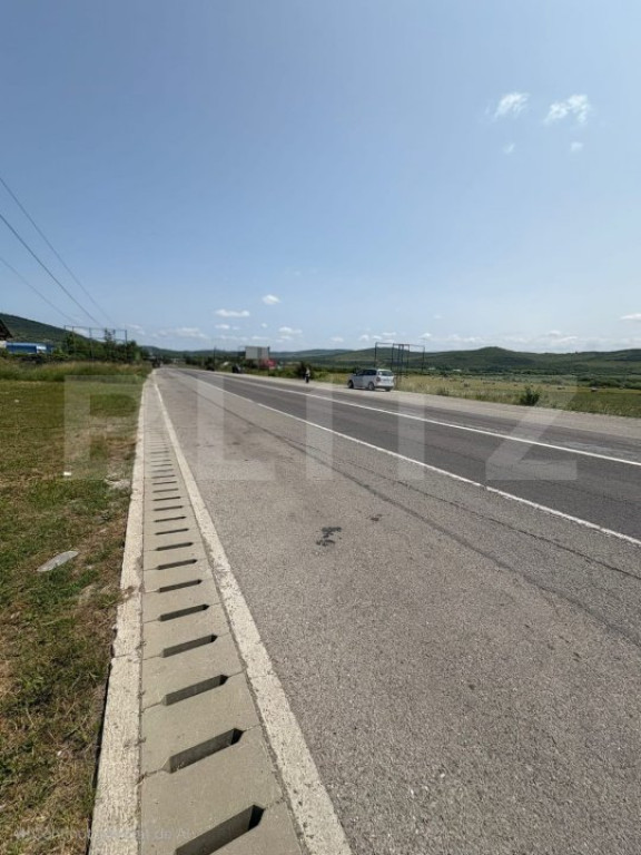 Teren Intravilan, 9.748 mp, zona Viisoara strada principala