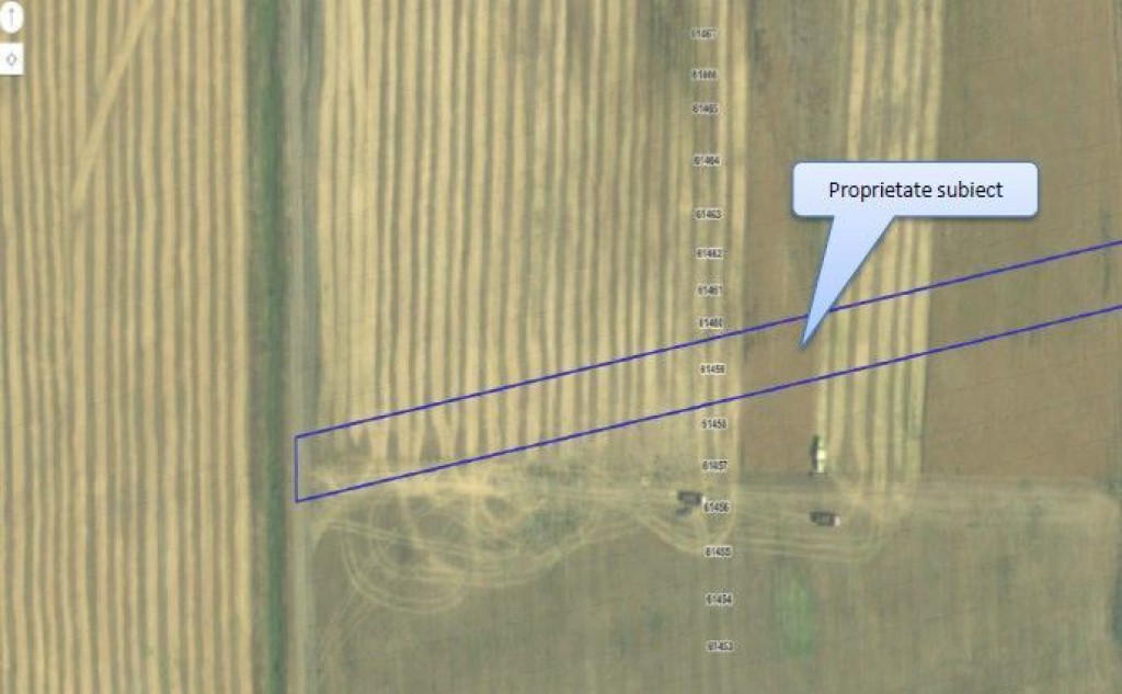 Teren extravilan Trifesti, ID: R2577649