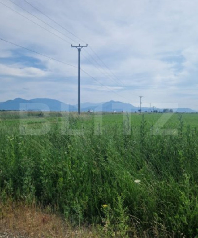 Teren extravilan, 1203 mp pretabil pentru investitie ,casa p