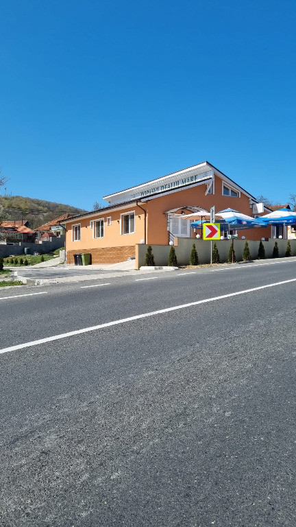 Vand pensiune in Dealu Mare (Comuna Valisoara), judetul Hunedoara,