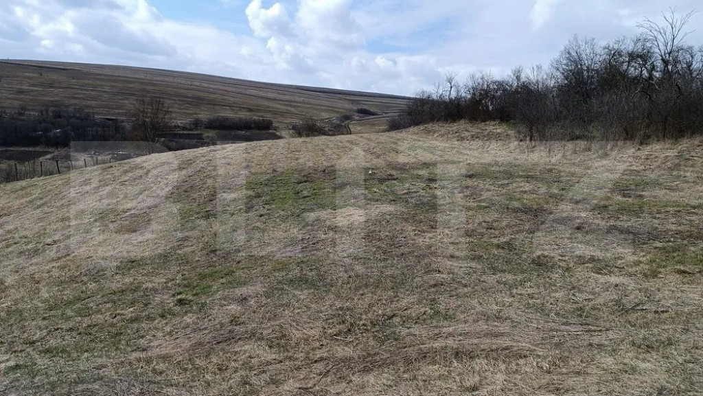 Casă veche cu teren generos de 5.300 mp – oportunitate de