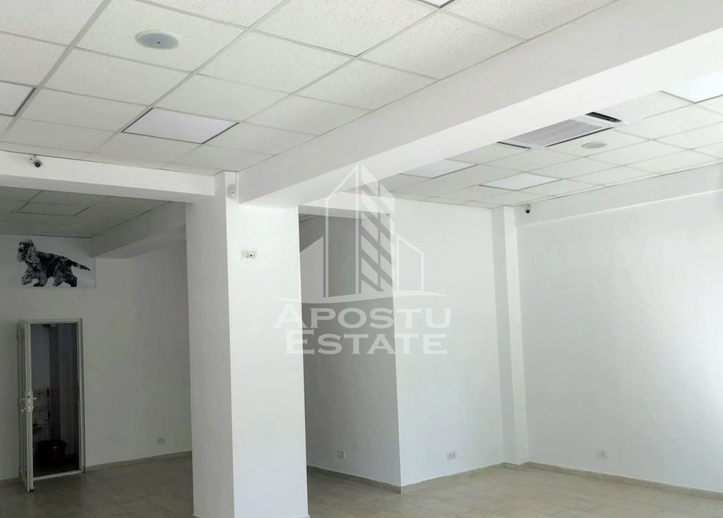 Spatiu comercial 80mp, zona LEBADA