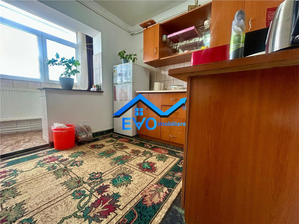 Apartament cu o camera, Zimbru