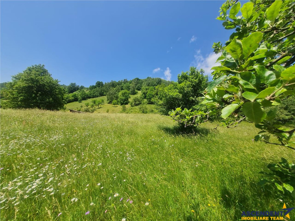 FILM! View superb catre munti, teren pretabil constructie Ho