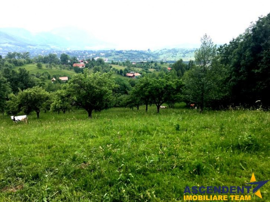 FILM! 20.000 mp in povestea naturii din renumitul areal:Bran