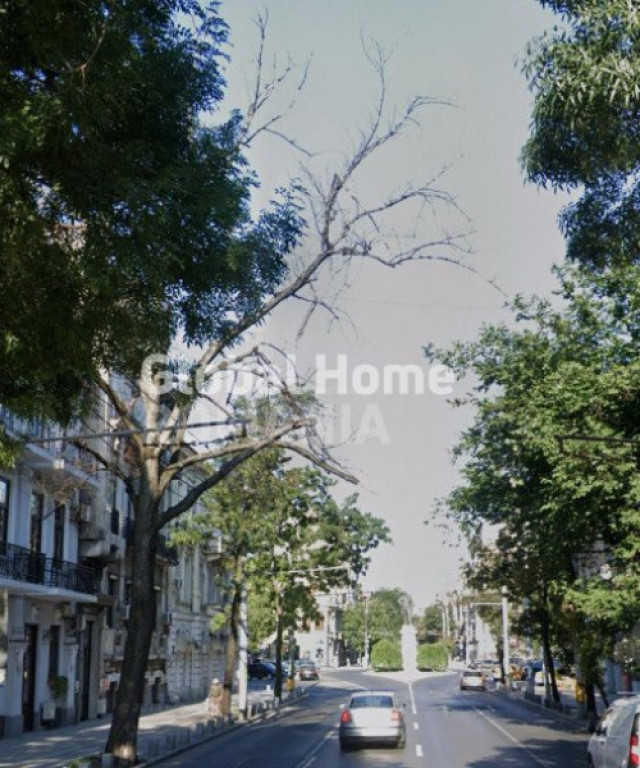 Spatiu comercial 310 MP | Ultracentral-Cismigiu - Imobil fa