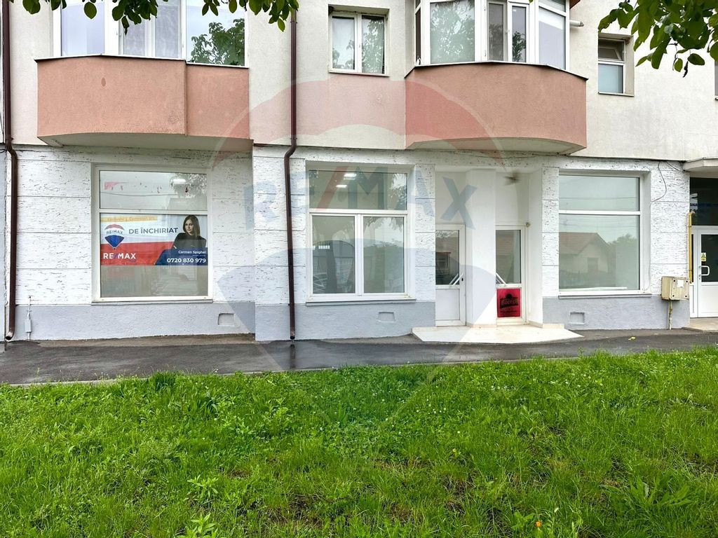 Spațiu comercial de închiriat Snagov