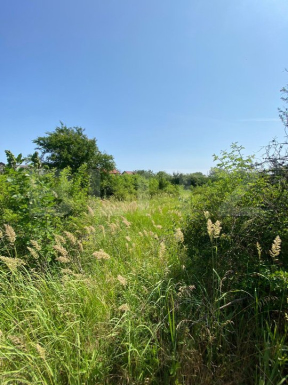 Teren Intravilan de vanzare, 1500 Mp, zona Rahova