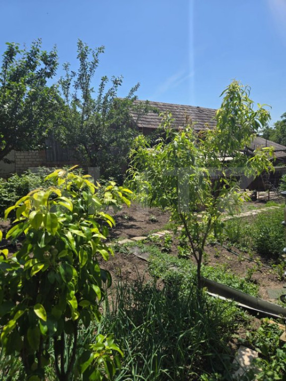 Casa cu 3 camere , 95 mp, zona Libertatii