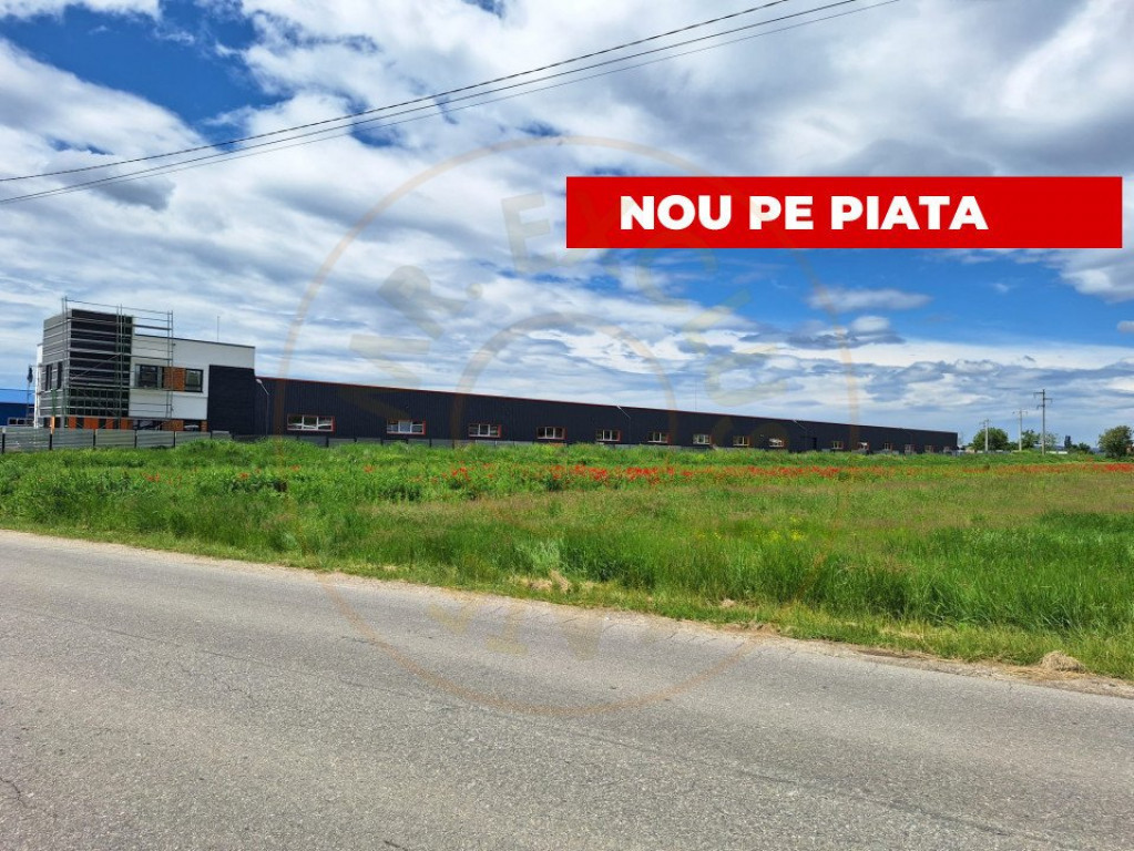 Teren industrial de vânzare – Ștefănești, Strada Sticl
