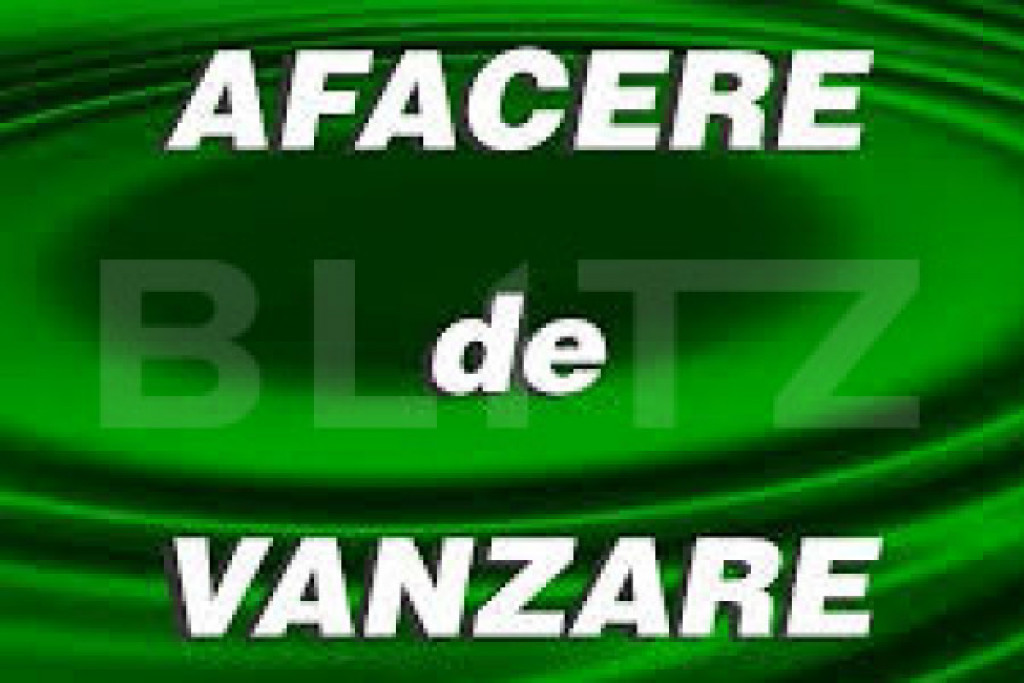 Afacere la cheie! Cladire individuală, 500 mp, plus 9 ari t