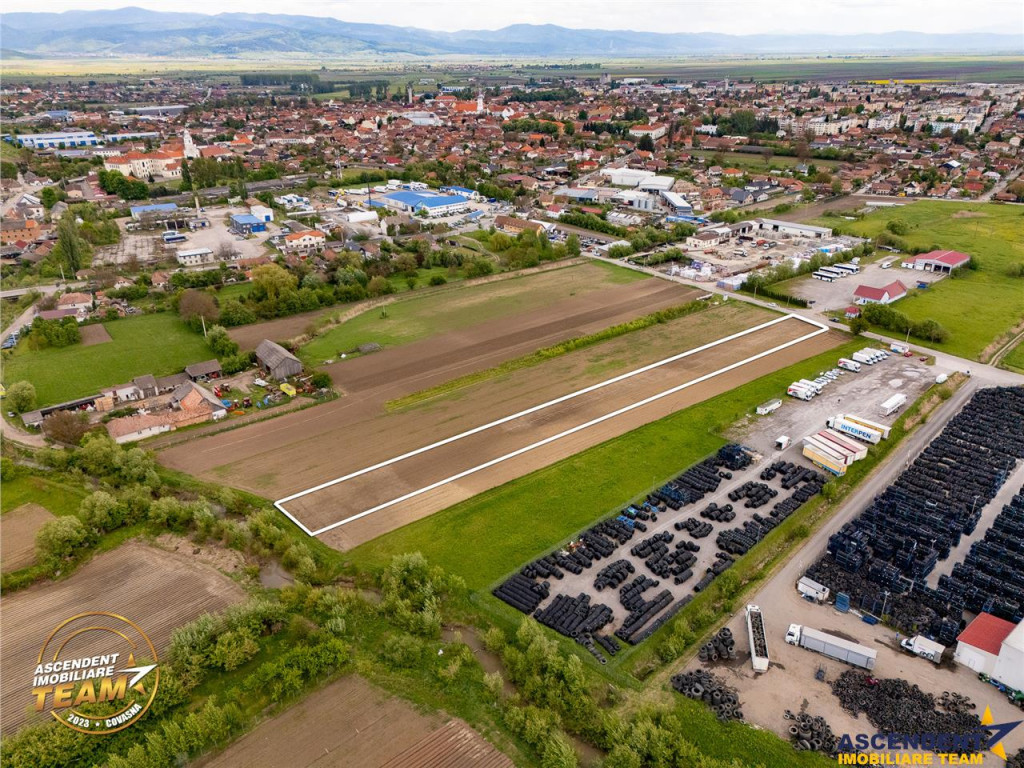 FILM! 5.000 mp teren, la marginea orasului Targu Secuiesc, a