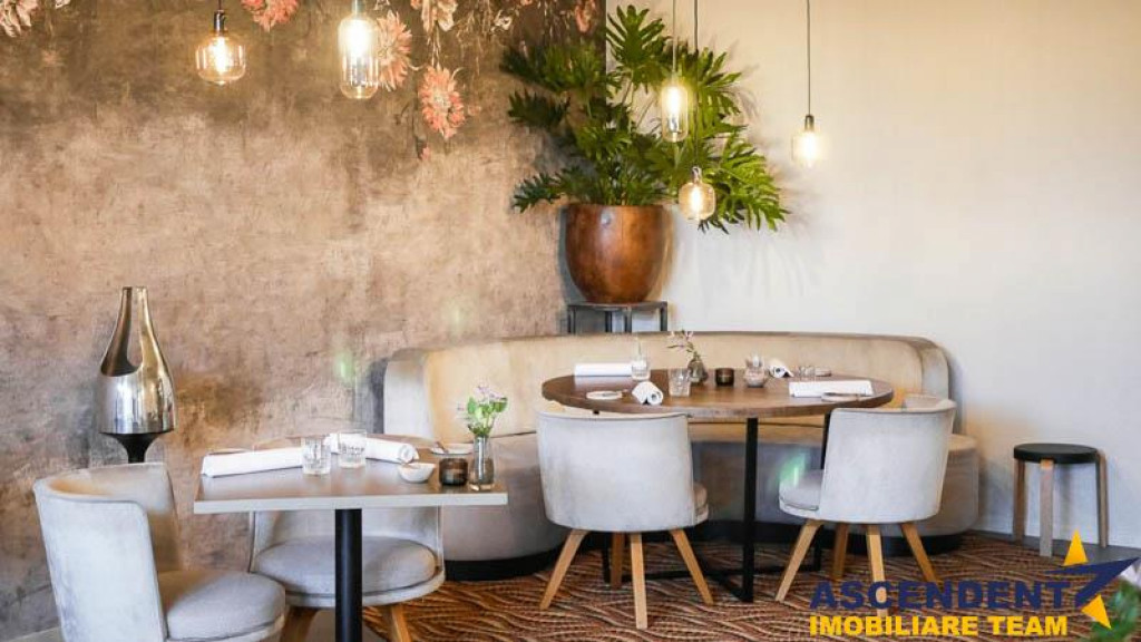 Spatiu Comercial, Centrul Istoric