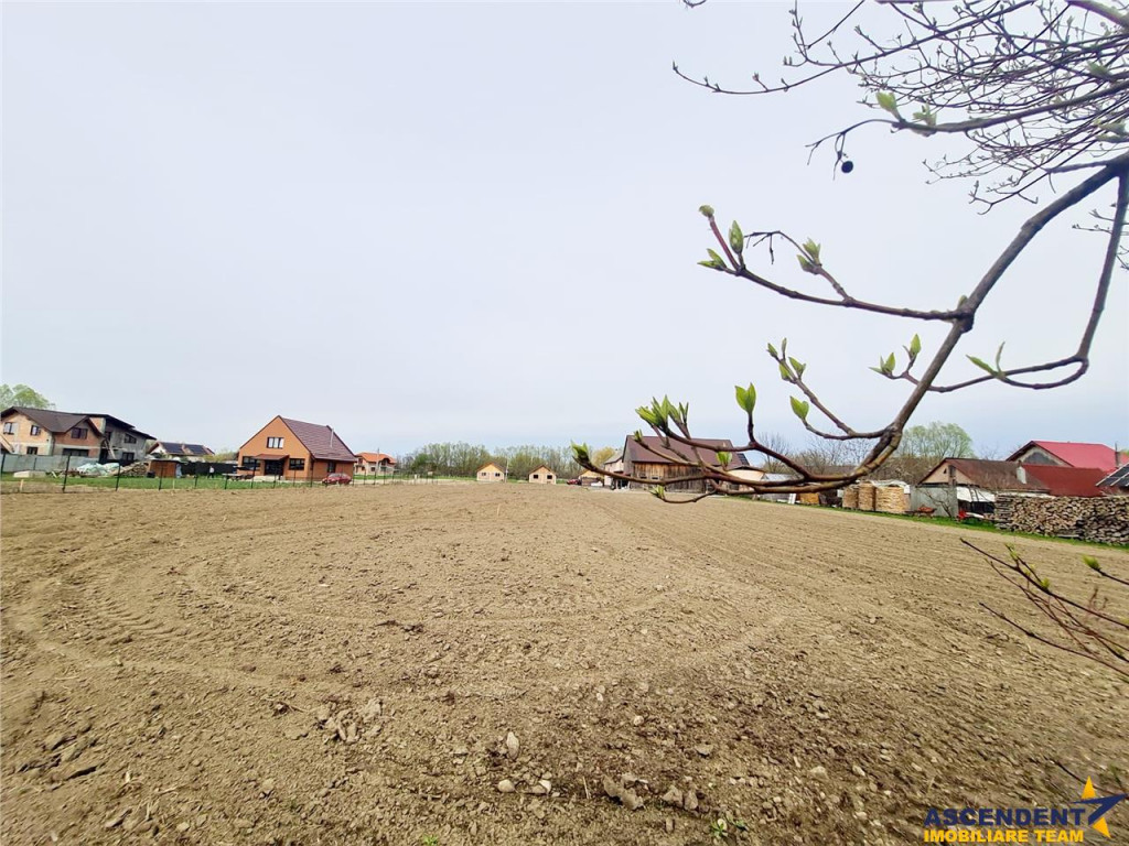 Teren 1.700 mp intravilan, natura, vecinatati bune, potentia