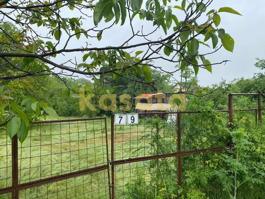 Teren Intrav. Frumusani