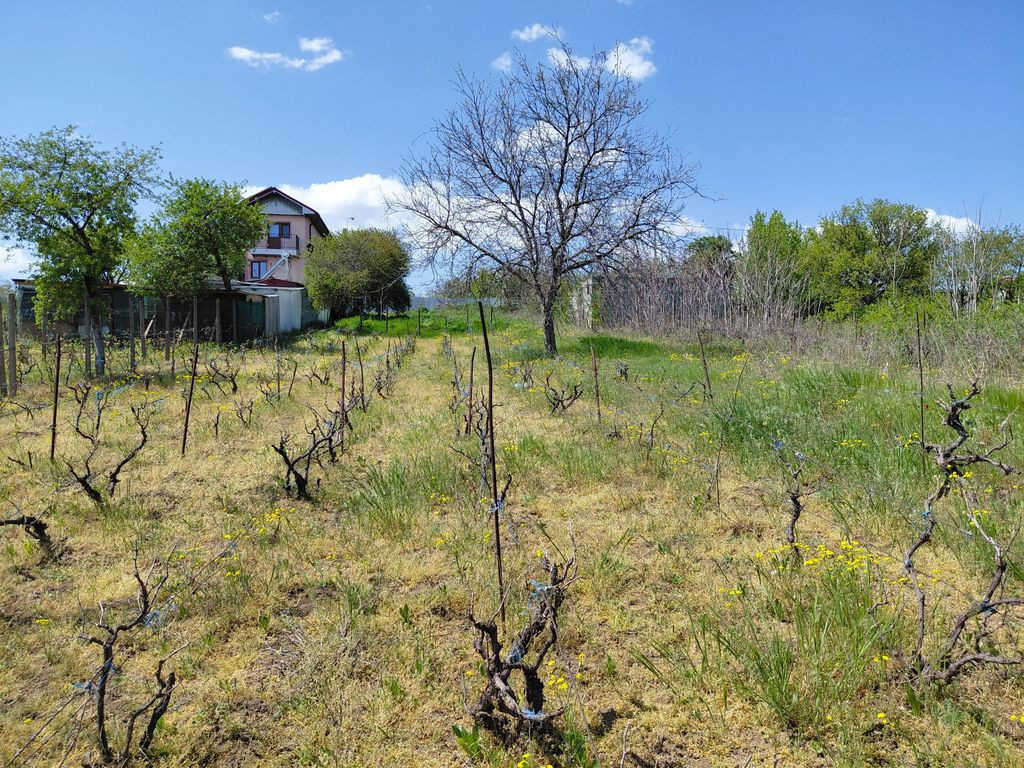 Schimb teren intravilan Filesti, 3.250 mp, cu apartament ...