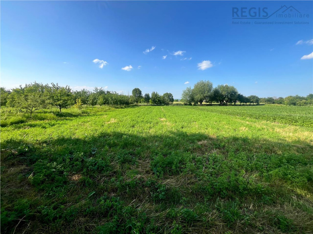 TEREN INTRAVILAN, 1200 mp, HARMAN, COMISION 0%