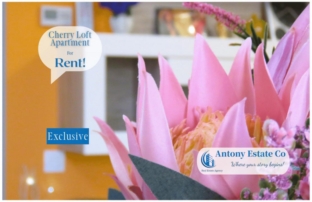 Apartament de inchiriat, 2 camere, Open Space, Ared, Oradea