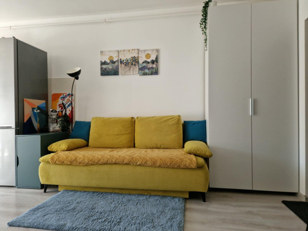 Apartament de 2 camere tip studio in Subcetate