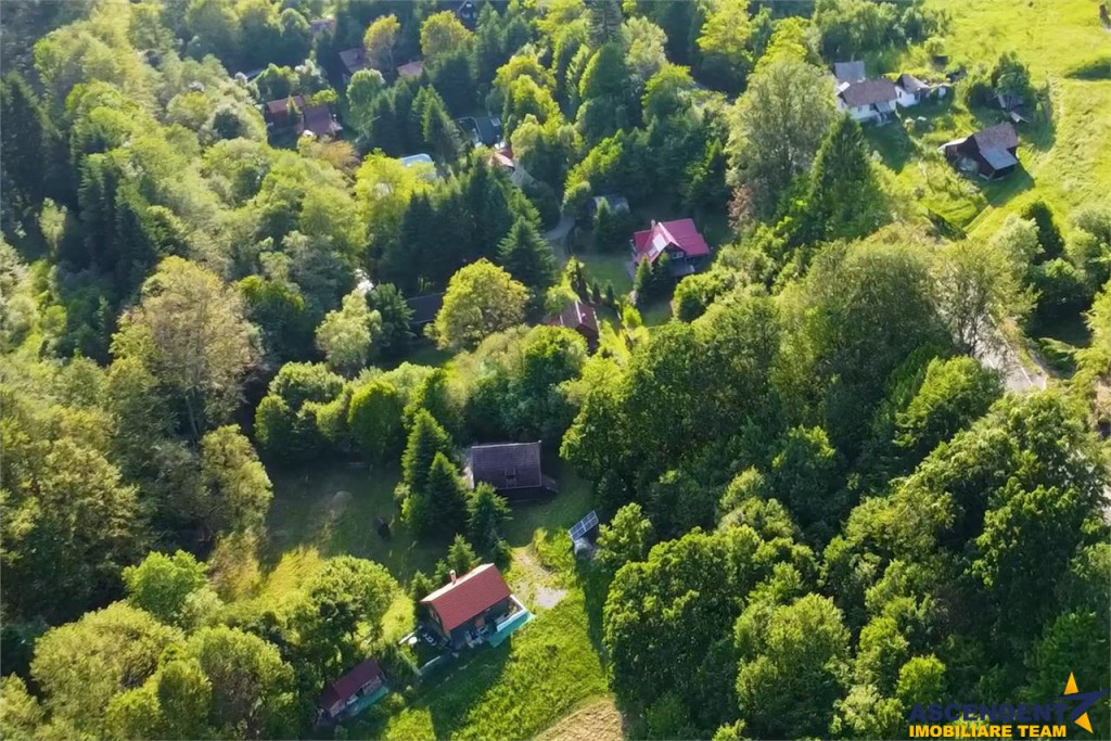 FILM!2.000 mp teren in miracolul naturii autentice casa caba