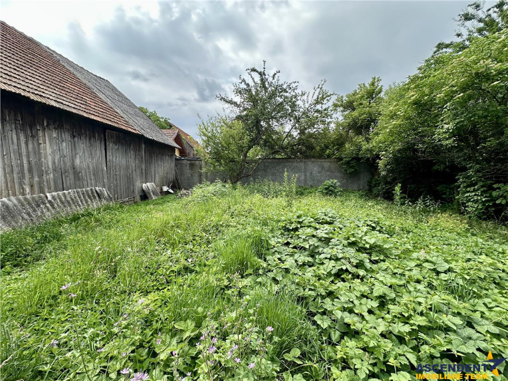 900 mp teren casa saseasca hambar, Prejmer, Brasov