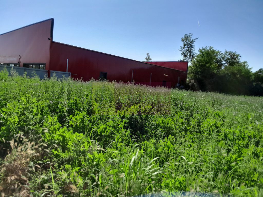 Casa 2 cam la 135k eur de vz. in Giulesti (sau schimb cu ...