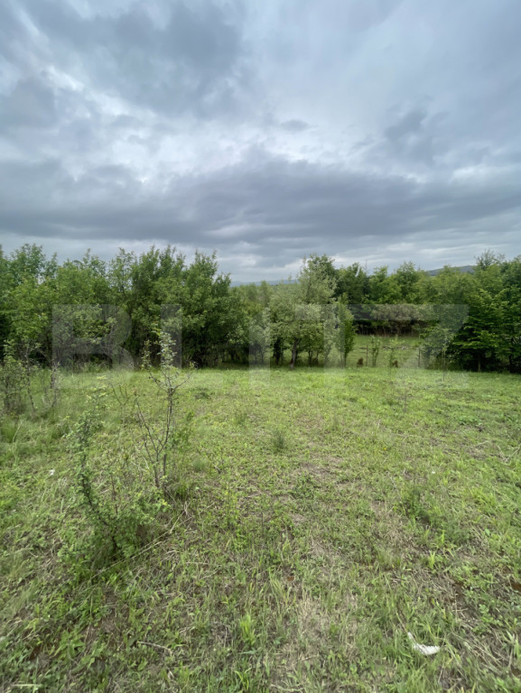 Teren extravilan 5200 mp – Budacul de Jos- Investiție ex