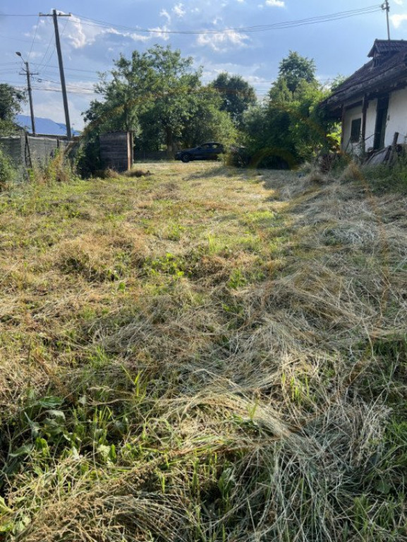 Teren 1320 mp Hintesti-Arges 3.5 km de Pitesti