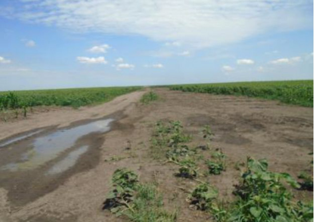 Teren extravilan,Sat Ciupercenii Noi, jud. Dolj