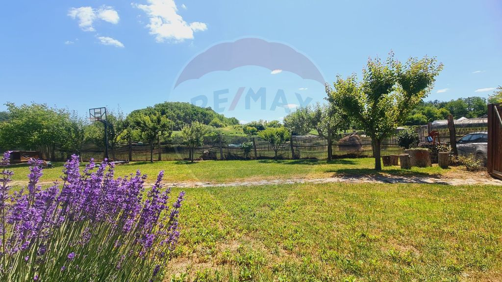 Teren cu cabană și filigorie lângă lacul Helesteu