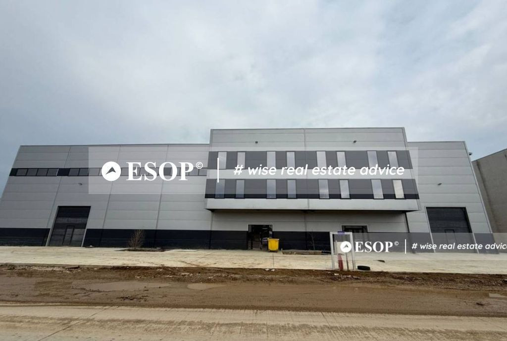 Hala de vanzare, zona Mogosoaia, 1500mp, ID 15424,