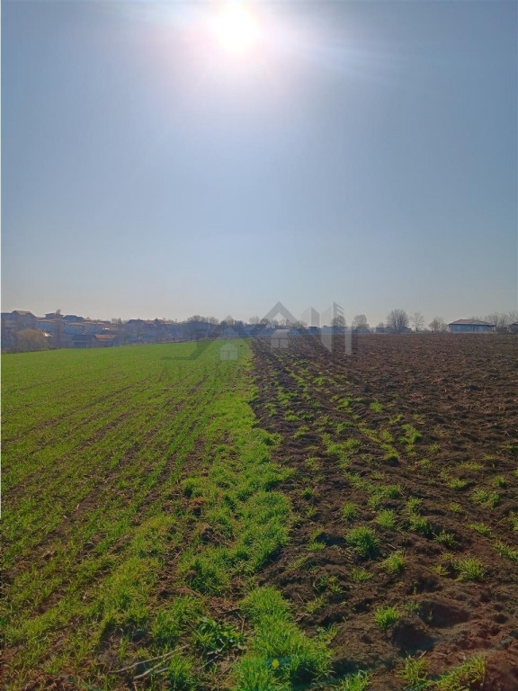 OCAZIE! Vorovesti Teren 83000mp intrav. si extrav. cu utilit