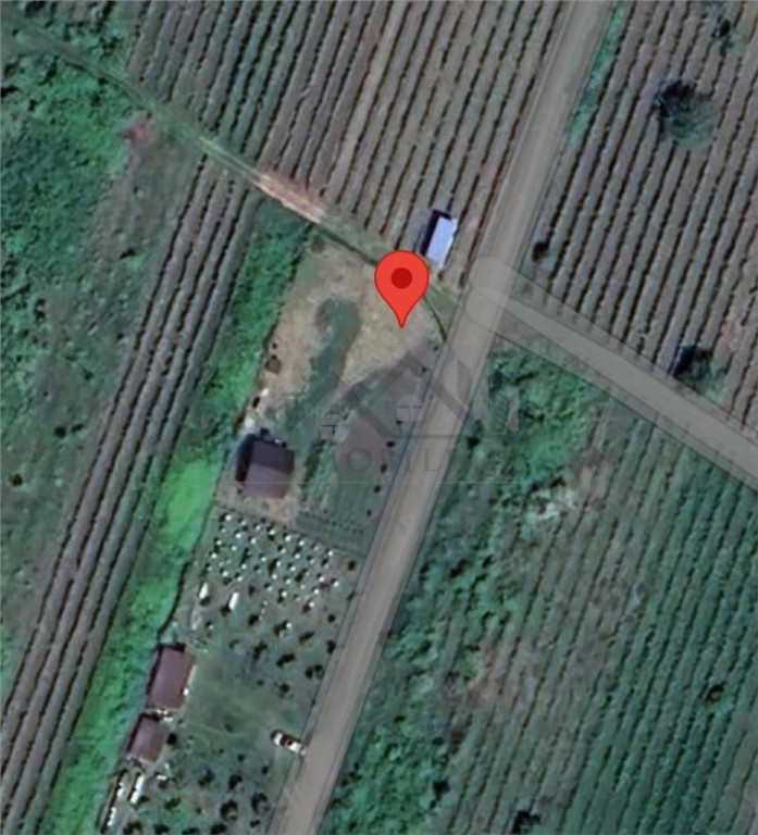 Tomesti - Teren 1000mp s