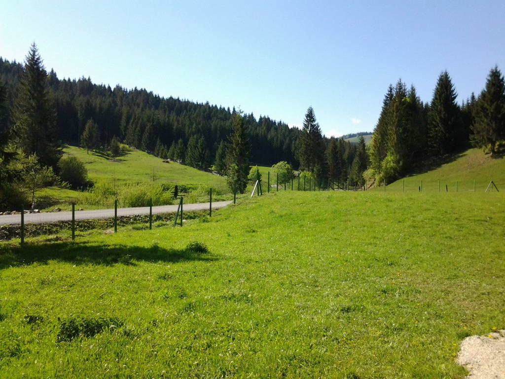 12.500 mp teren extravilan Lunca Ilvei jud. Bistrita Nasaud