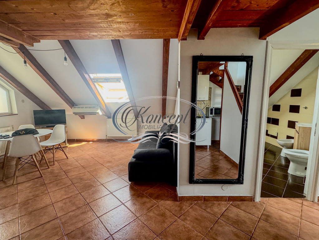 Apartament luminos cu pod si aer conditionat – Buna Ziua