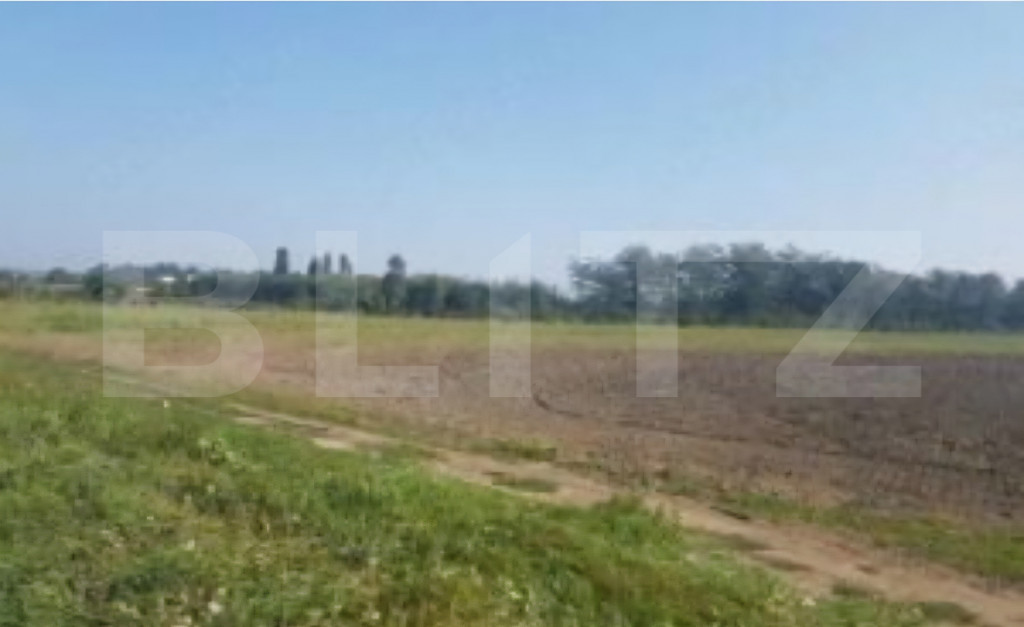 Teren extravilan, 496 mp, 16 m deschidere, Malu Mare