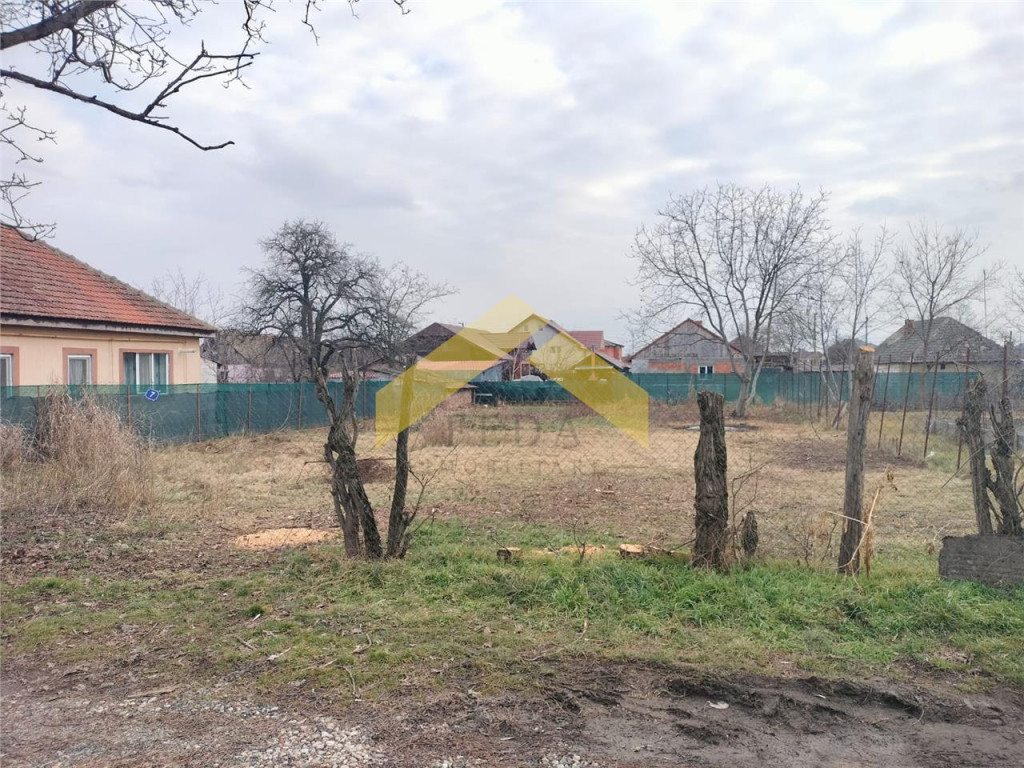 Teren de vaznare Pecica