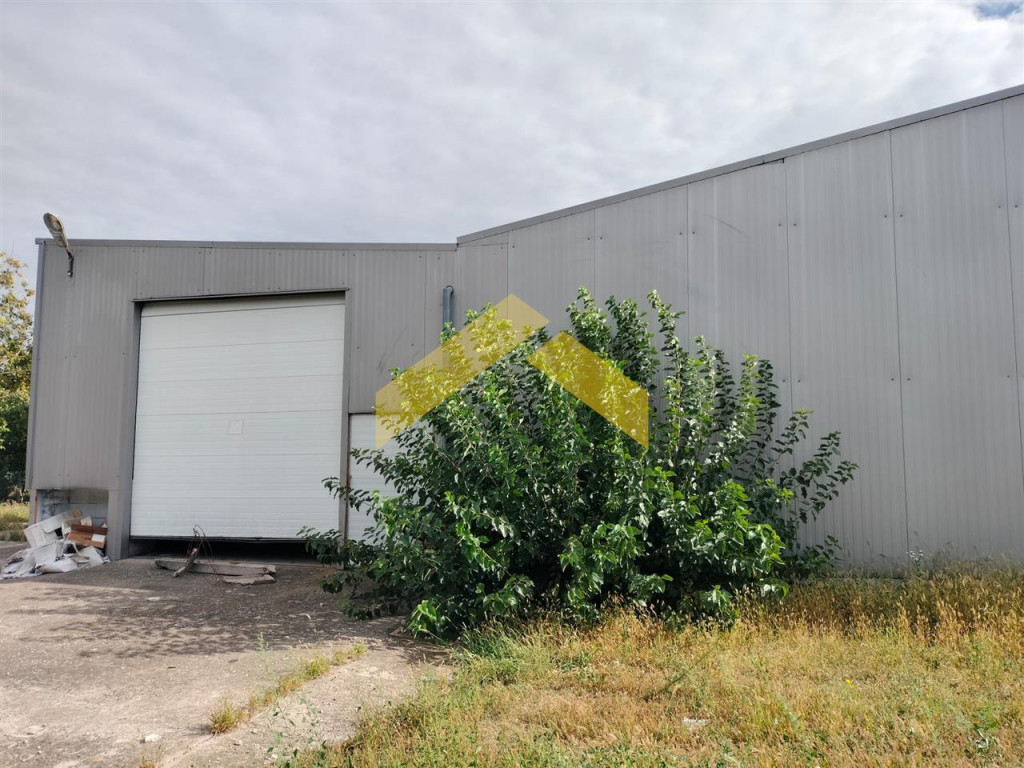 Hala industriala de inchiriat, Galsa Arad