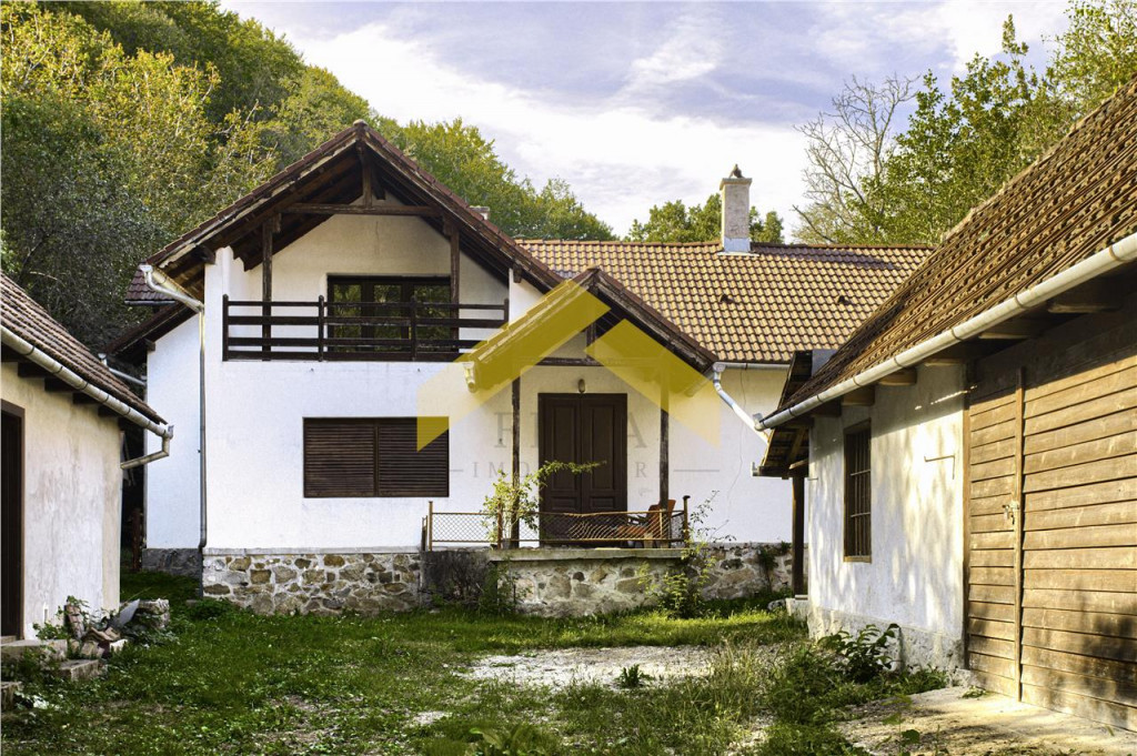 Casa cu padure de in Savarsini