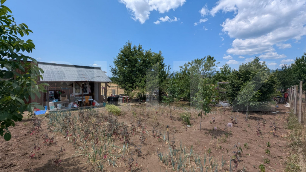 Casa de vacanta in Oarda.