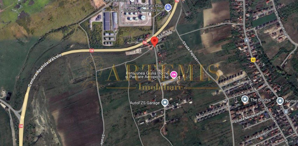 Investitie, Teren intravilan, 3600 mp, Dezmir