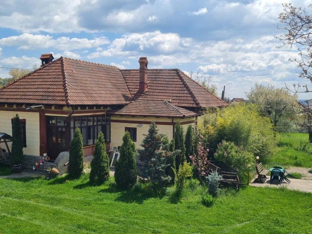 Domeniu Pensiune Transfagarasan 20855