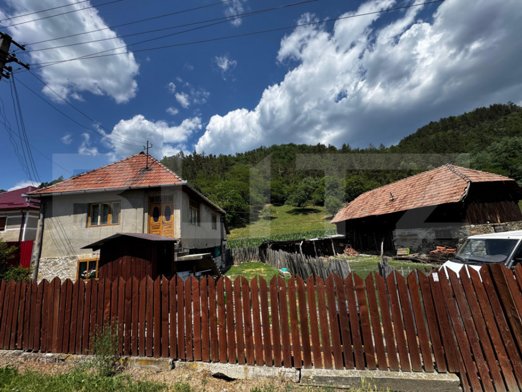 Casă cu 6000 mp teren, Poiana Ampoiului - Metes