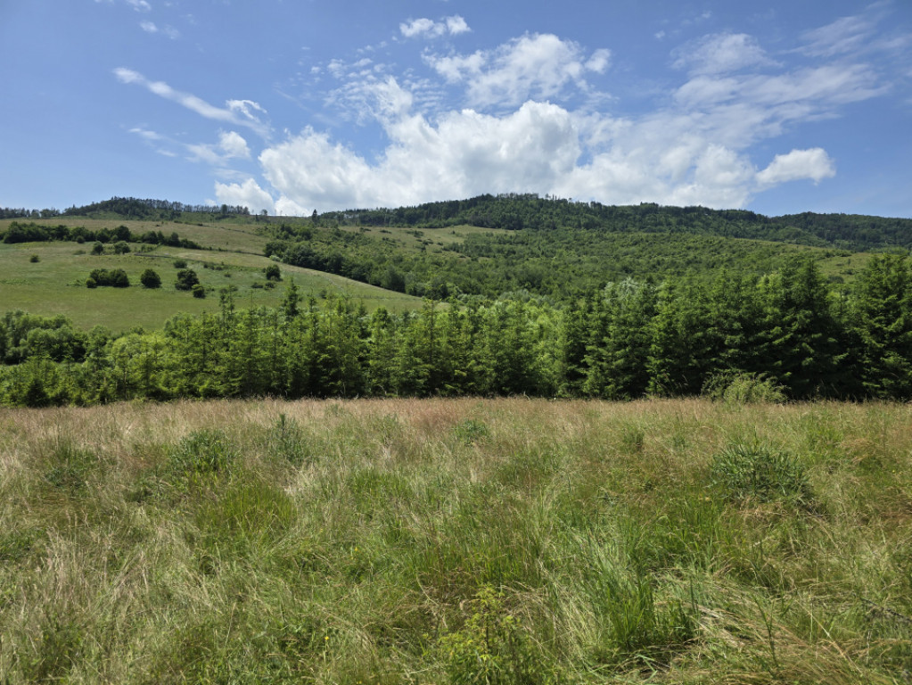 Teren splendid Garcina