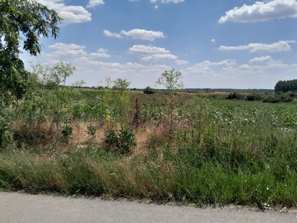 TEISORI /GR - 2 LOTURI LIPITE (TOT. 16500 MP) DE VZ 100K ...